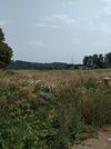 925 40th Street photo
